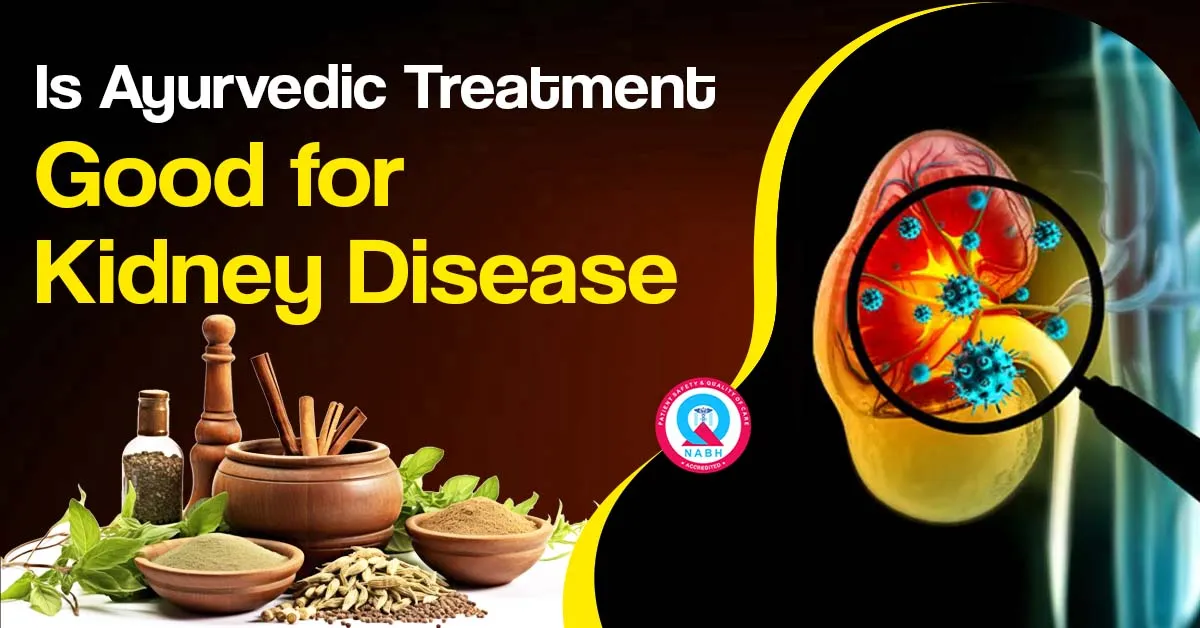 is-ayurvedic-treatment-good-for-kidney-disease